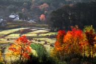 安徽塔川风景图片大全