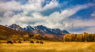 四川川西风景图片