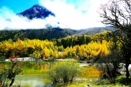 四川毕棚沟秋天风景图片
