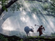 福建杨家溪晨雾风景图片大全