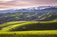 新疆大西沟风景图片