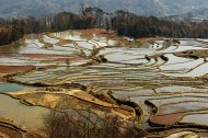 云南元阳梯田风景图片大全