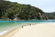 新西兰阿贝尔·塔斯曼国家公园风景图片