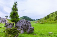 重庆千野草场风景图片大全