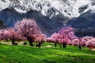 西藏林芝风景图片