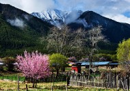 西藏林芝风景图片
