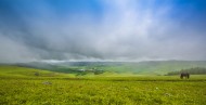 河北张北草原风景图片大全