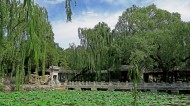 颐和园中园谐趣园风景图片