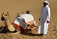 沙漠中的骆驼图片