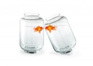 鱼缸中的金鱼图片大全