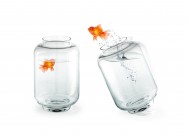 鱼缸中的金鱼图片大全