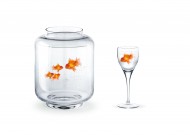 鱼缸中的金鱼图片大全