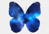 彩色蝴蝶剪影图片