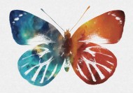 彩色蝴蝶剪影图片