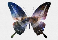 彩色蝴蝶剪影图片