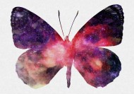 彩色蝴蝶剪影图片