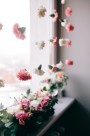 色彩缤纷的鲜花图片