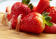 清新绿色植物图片大全