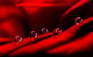 花瓣上流动的水珠宝石图片