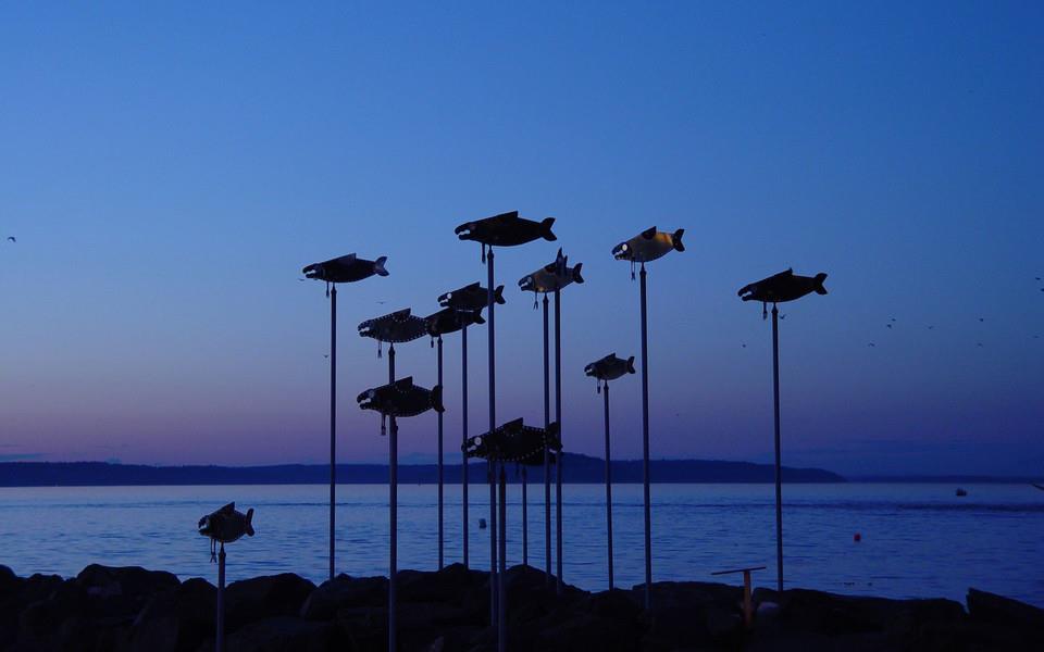 水的宽屏高清图片