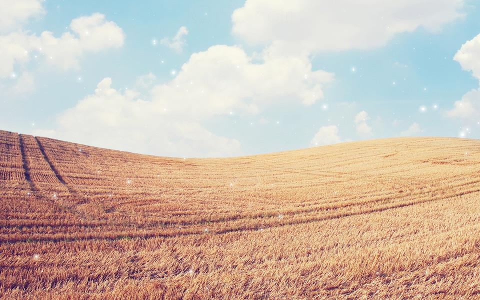 繁星点点温馨浪漫摄影图片