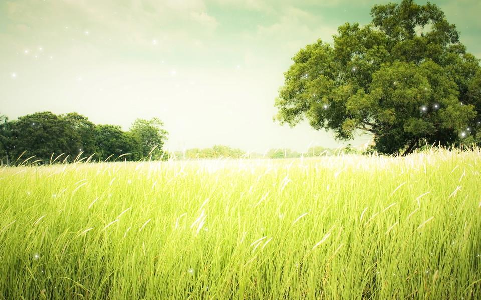 繁星点点温馨浪漫摄影图片