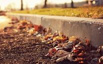 繁星点点温馨浪漫摄影图片