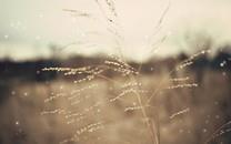 繁星点点温馨浪漫摄影图片