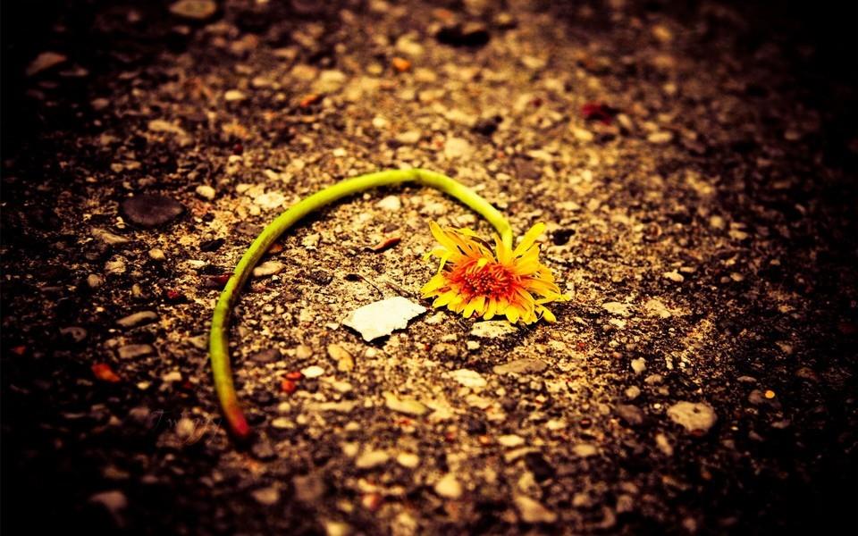 忧郁风景图片 忧郁风景图片大全