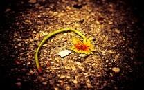 忧郁风景图片 忧郁风景图片大全