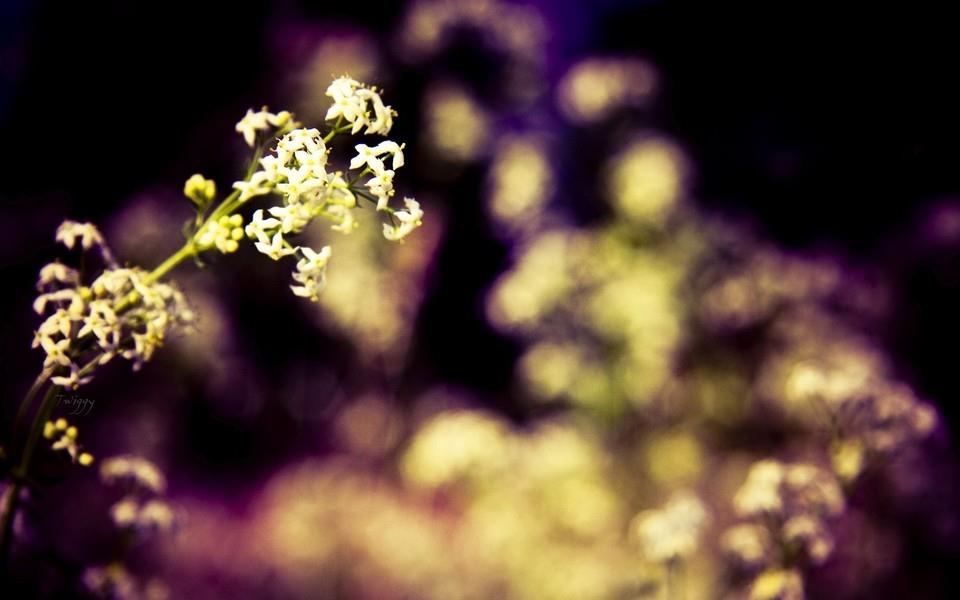 忧郁风景图片 忧郁风景图片大全