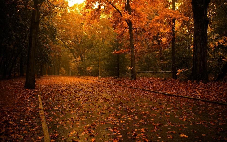 忧郁风景图片 忧郁风景图片大全