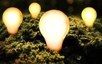 缤纷多彩霓虹灯桌面壁纸