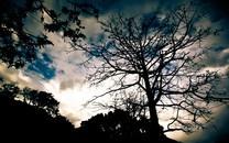 捕捉瞬间精彩高清桌面壁纸