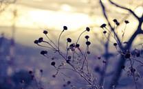 捕捉瞬间精彩高清桌面壁纸