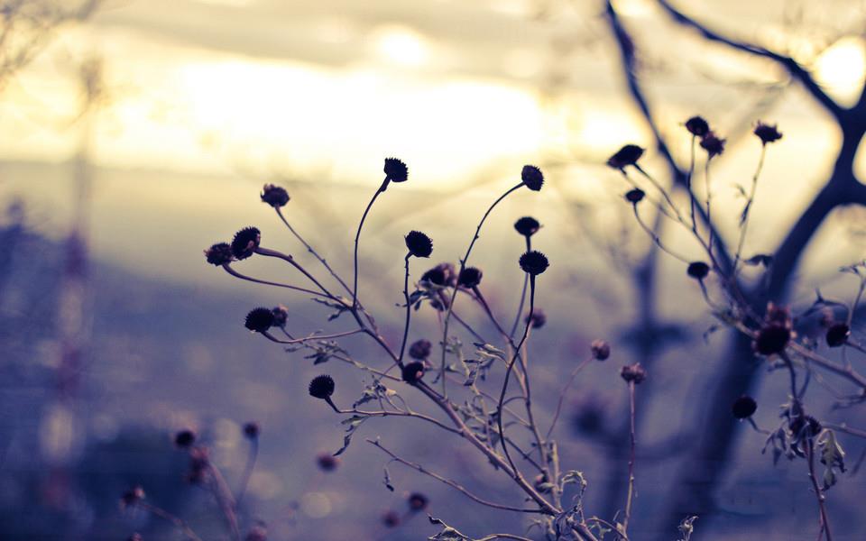 捕捉瞬间精彩高清桌面壁纸