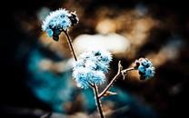 捕捉瞬间精彩高清桌面壁纸