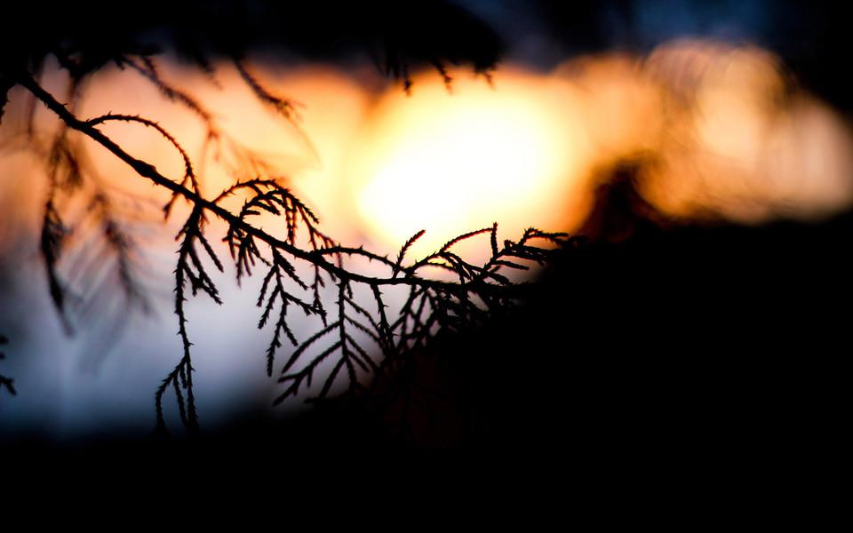 捕捉瞬间精彩高清桌面壁纸