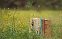 校园记忆宽屏桌面图片