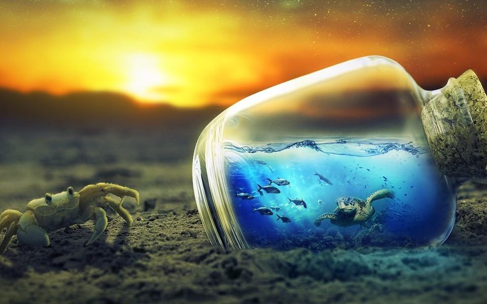 螃蟹图片 螃蟹高清图片