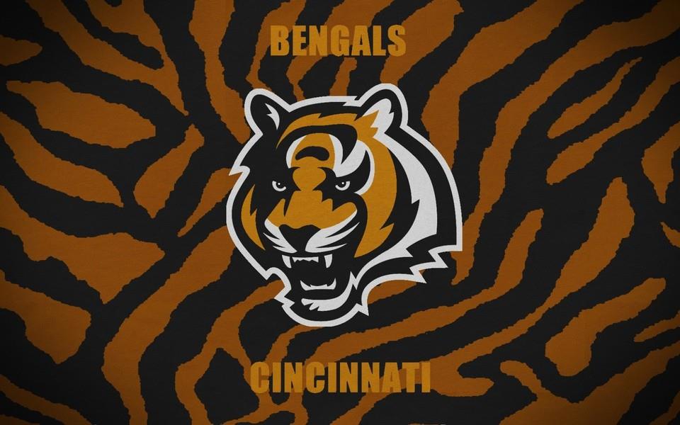 国家橄榄球联盟高清图片