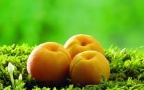 高清水果图片下载