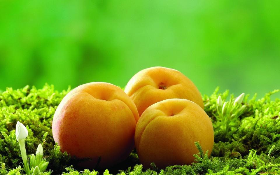 高清水果图片下载