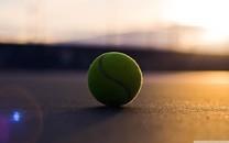 网球图片 网球特写图片分享