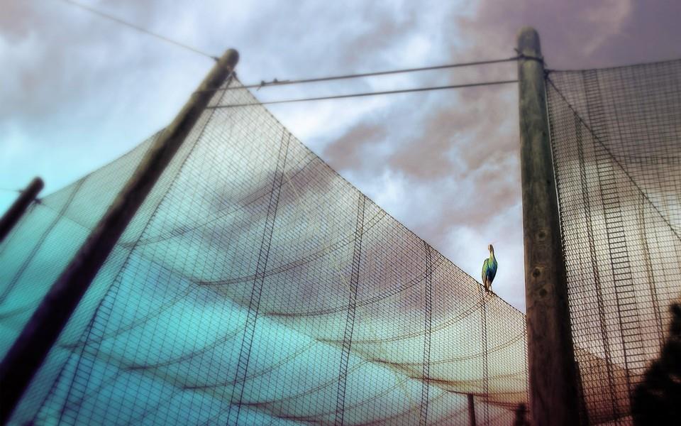 城市一角建筑图片大全