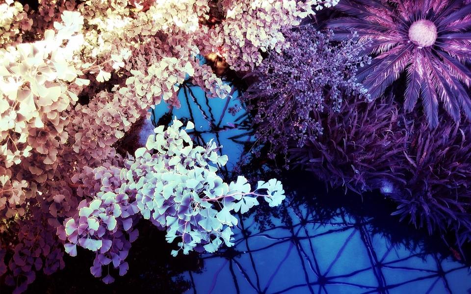 水中城市图片分享