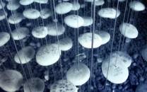 暗调生活图片大全