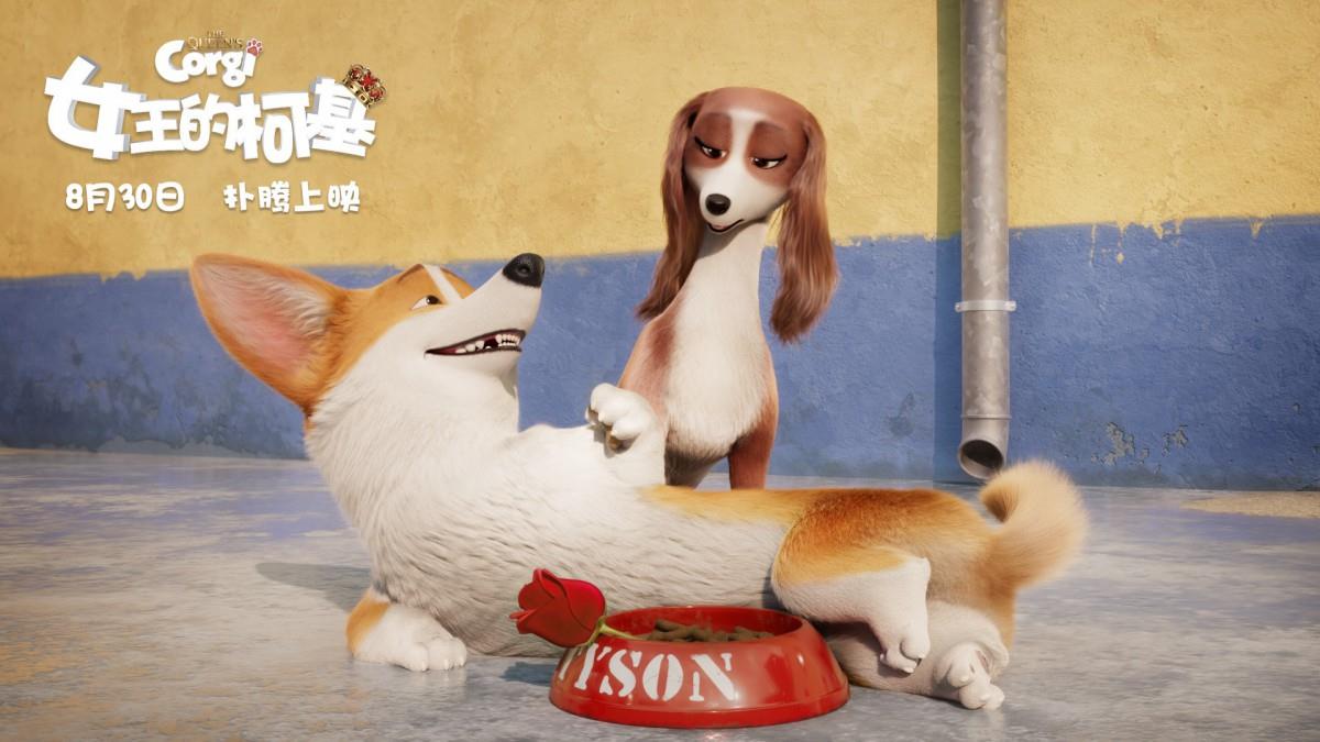 女王的柯基图片 女王的柯基动画电影图片分享