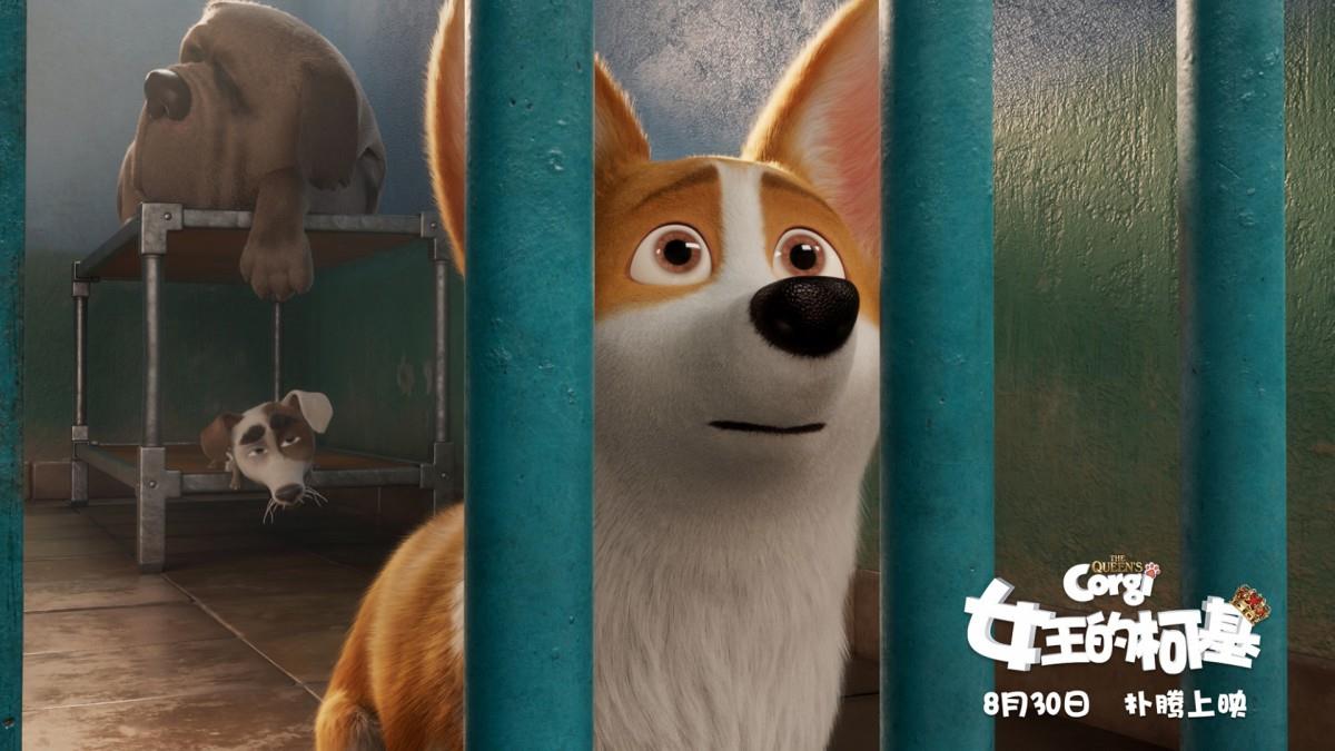 女王的柯基图片 女王的柯基动画电影图片分享