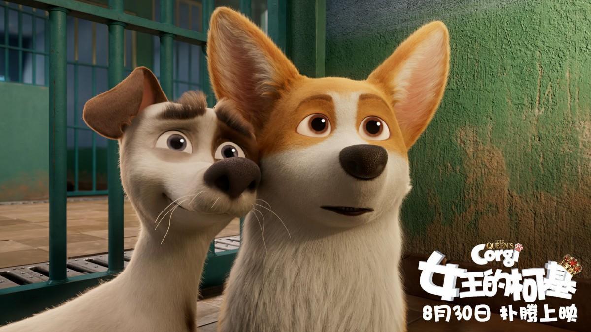 女王的柯基图片 女王的柯基动画电影图片分享